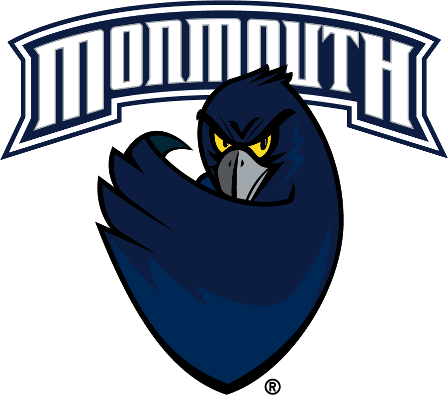 Monmouth Hawks 2003-2014 Primary Logo diy iron on heat transfer